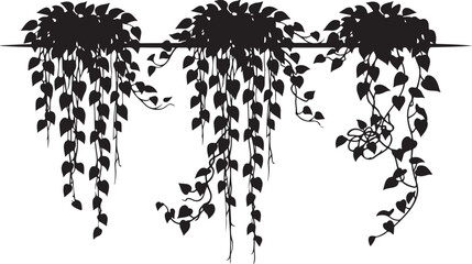 Set of hanging plant silhouettes with trailing heart shaped leaves © Picture Paradise