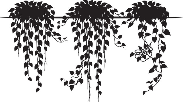 Set of hanging plant silhouettes with trailing heart shaped leaves