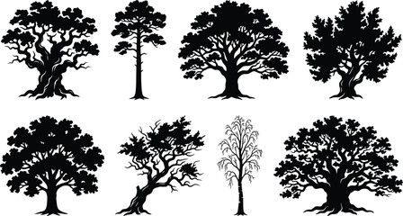 Fototapeta premium Tree silhouettes vector set featuring detailed old oak pine and deciduous forest trees graphic elementsTree silhouettes vector set featuring detailed old oak pine and deciduous forest trees graphic