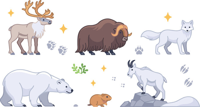 Arctic and Tundra Animal Vector Set Featuring Polar Bear Musk Ox Reindeer Mountain Goat and Arctic Fox on White Background