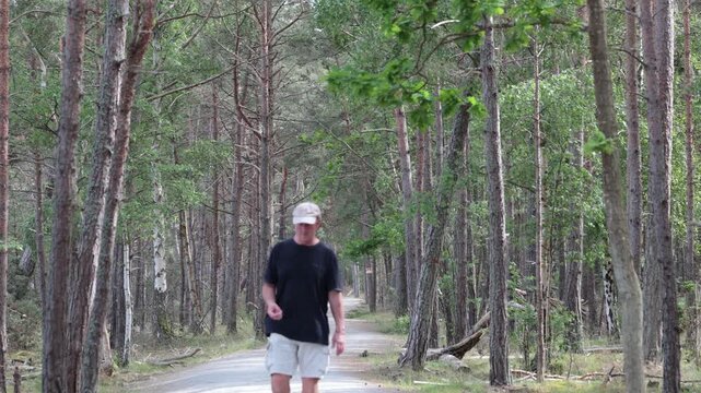 Naturum Trollskogen, Sweden A man walks through the landmark naturum Trollskogen forest on the northern tip of the Oland island. 