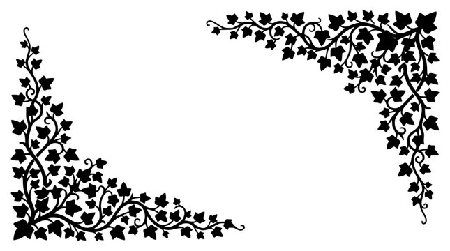 Ivy Leaf Corner Border Silhouette Illustration