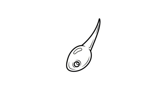 Microscopic tadpole or cell swimming outline