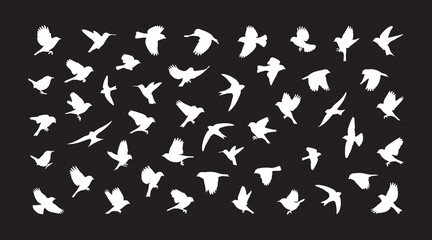 flying little birds silhouette set © James
