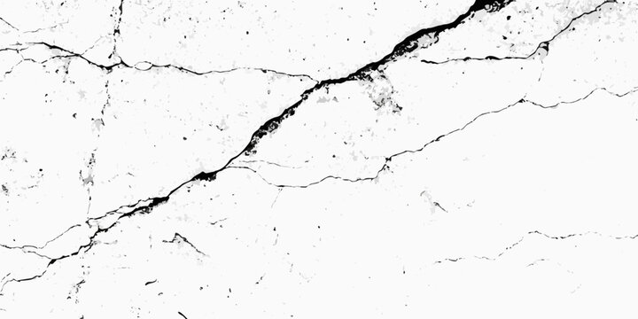 Cracked surface texture with irregular fissures black and white grunge pattern on a white background