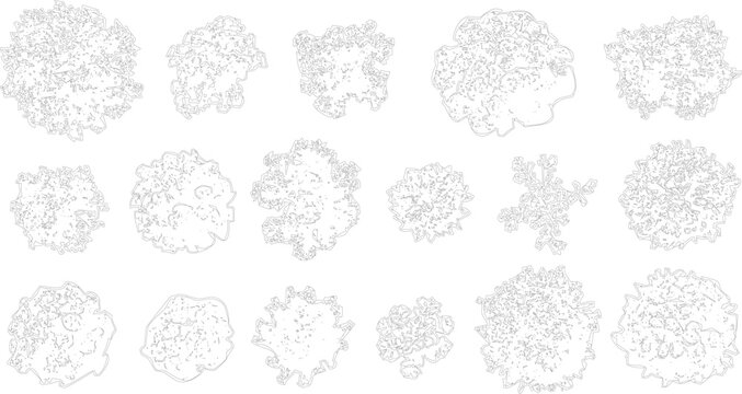 Top View Tree Canopy Outline Collection Vector Set, isolated on transparent background	