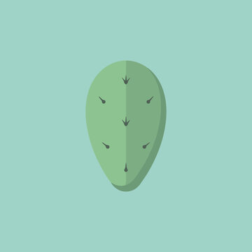 Minimalist flat vector illustration of a green cactus pad