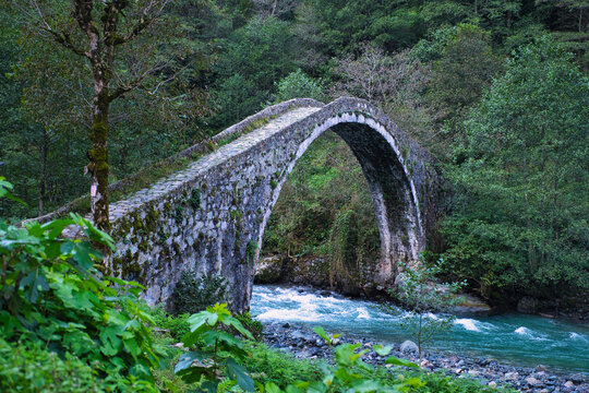View of the historic stone arch bridge over the turquoise waters of Firtina Creek, surrounded by lush green forest in Rize, Rize, Turkiye.