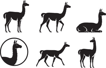 Guanaco Silhouette Icon Set Collection South American Camelid Wildlife Vector Illustration © chien