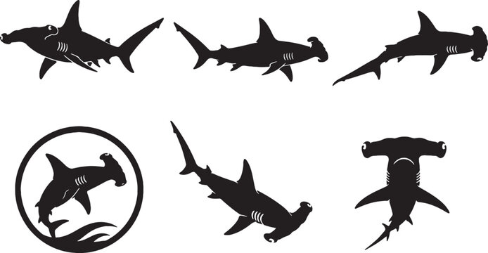 Hammerhead Shark Silhouette Icon Set Collection Black Vector Marine Predator Symbols