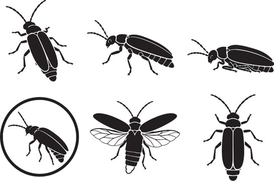 Firefly Silhouette Icon Set Black Vector Insect Collection Wildlife Beetle Symbols