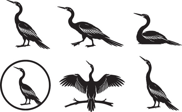 Anhinga Silhouette Icon Set Water Bird Wildlife Vector Collection