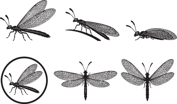 Antlion Silhouette Icon Set Lacewing Insect Wildlife Vector Collection
