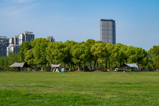 A leafy, grassy campsite on the edge of the city