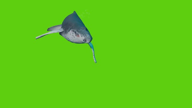 Whale on a green background