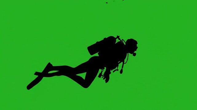 Scuba diver silhouette vector animation video