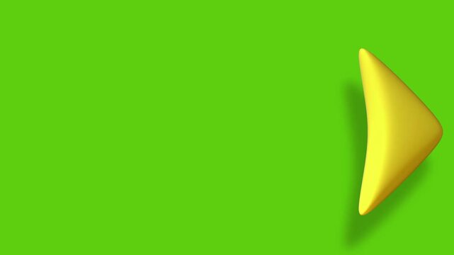 green leaf on a white background