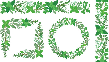Fresh green kitchen herbs vector border and wreath collection with mint rosemary parsley dill and basil elements isolated on white background (21 words © MdShakib