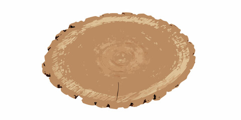 Tree trunk cross section illustration with visible growth rings on a white background annual bark © RanjanKumar