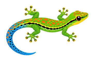 Fototapeta premium Colorful Tropical Gecko Lizard Isolated on White Background Vector Art