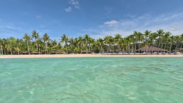 Turquoise Water and Palm Tree Beach in Panglao, Philippines