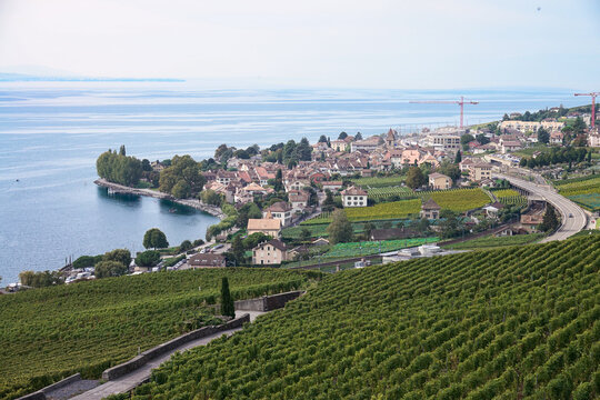 View of Les vignes de Lavaux vineyards overlooking the town of Bourg-en-Lavaux and Lake Geneva with lush green terraced slopes in Bourg-en-Lavaux, Vaud, Switzerland.