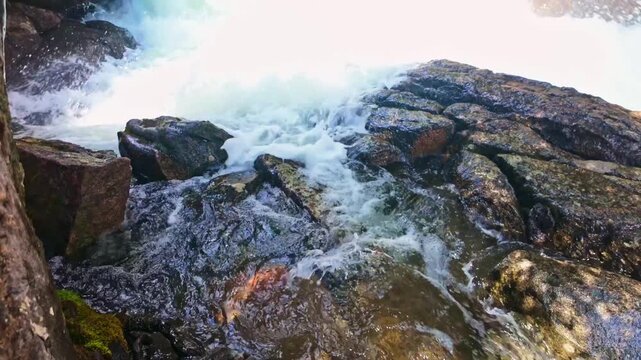 Lake Creek mountain river flows harshly through rocky terrain along the Beartooth Highway in Wyoming