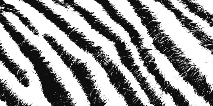 Abstract Tiger Stripe Skin Pattern in Black and White with Soft Edges and Minimal White Background for Animal Texture Design.
