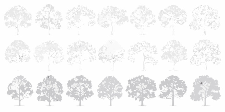 Architectural Tree Silhouettes Showing Variety Line Drawing Style