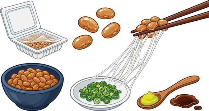 Natto soybean collection with fermented beans chopsticks sticky texture and traditional Japanese food vector illustration