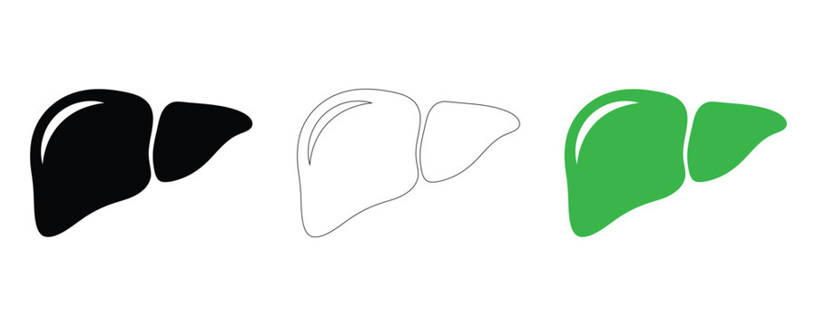 Liver organ icon set in black, white and green, human anatomy medical vector