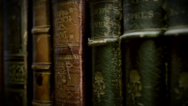 A group of old hardcover books with embossed leather covers and faded gold lettering stacked on a wooden surface in warm light.