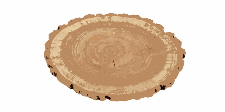 Tree trunk cross section illustration with visible growth rings on a white background wood grain