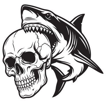 Shark biting human skull in black and white illustration