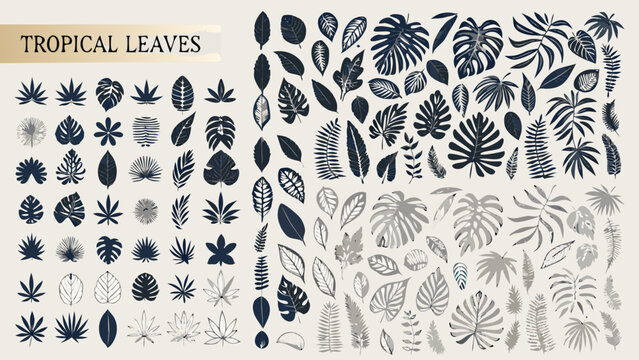 Collection of tropical leaves presented as a grayscale vector illustration with varying shapes and detailed venation botanical