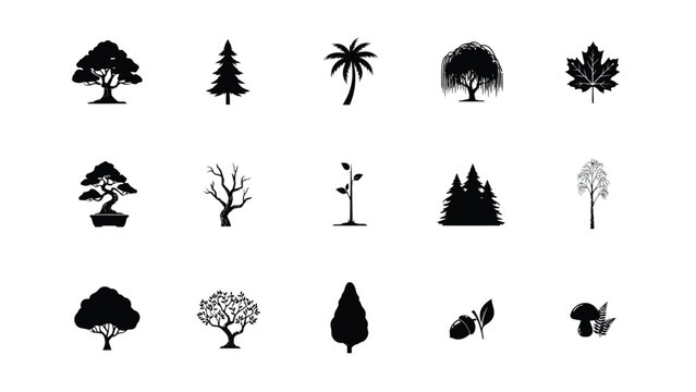Tree and plant silhouettes icons vector bonsai pine palm willow maple.