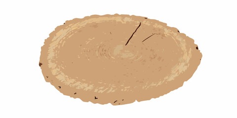 Tree trunk cross section illustration with visible growth rings on a white background wood grain © Bebdas