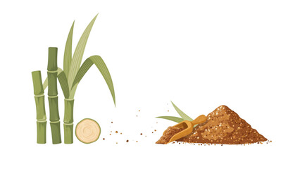 Sugar cane stalk and brown sugar pile with coin illustration © MDFOYSAL
