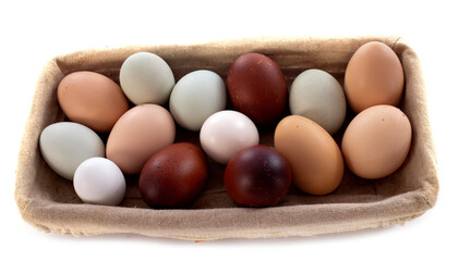 Obraz premium fresh eggs in studio