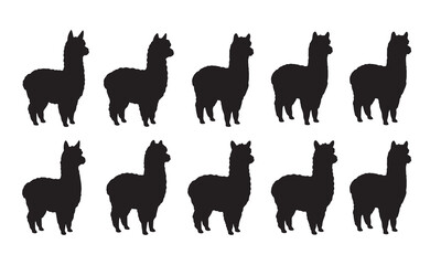 Fototapeta premium A series of black silhouette icons depicting standing alpacas in a clean, minimalist style.