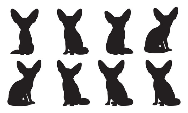 Set of fennec fox silhouettes in various sitting poses isolated on a white background vector.