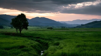 Fototapeta premium A serene and lush countryside landscape bathed in the gentle light of dawn