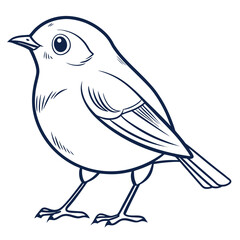 Fototapeta premium Cute little bird line art illustration