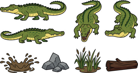 Fototapeta premium Green Crocodile Cartoon Character Vector Set Featuring Alligator Poses Mud Splash Rocks Swamp Reeds and Log Elements for Wildlife Education Designs