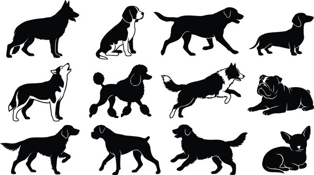 Diverse dog breeds in silhouette against a white background for graphic design