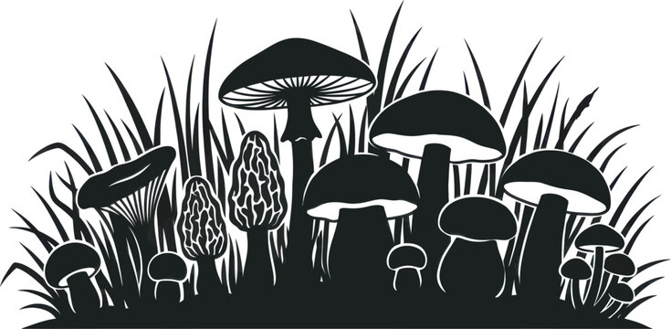 Assorted wild mushrooms growing in grass during nighttime with simple vector silhouette style