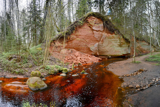 Red water of a forest stream near the rocks of the Trutnevskie Caves, Pskov region of Russia