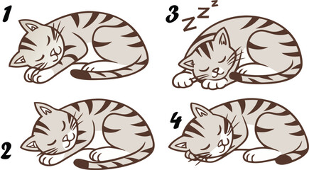 Fototapeta premium Four numbered of a sleeping tabby cat in various curled positions with grey stripes and white fur isolated on white background