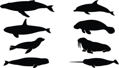 Collection of ocean marine mammal vector silhouettes including whale, dolphin, orca, seal, walrus, and narwhal © Mokbul