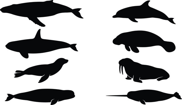 Collection of ocean marine mammal vector silhouettes including whale, dolphin, orca, seal, walrus, and narwhal
